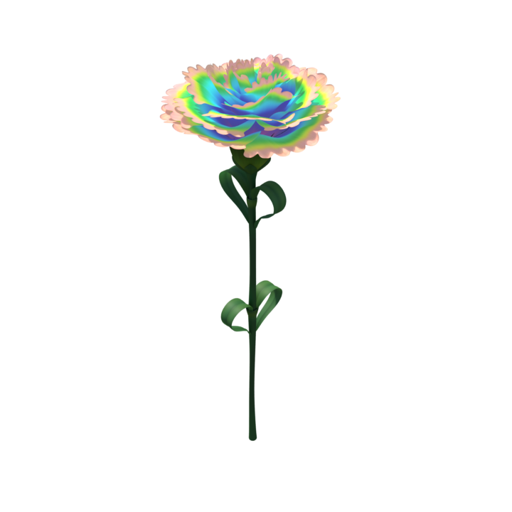 Carnation_Rig.b.png Carnation_Rig.b.png
